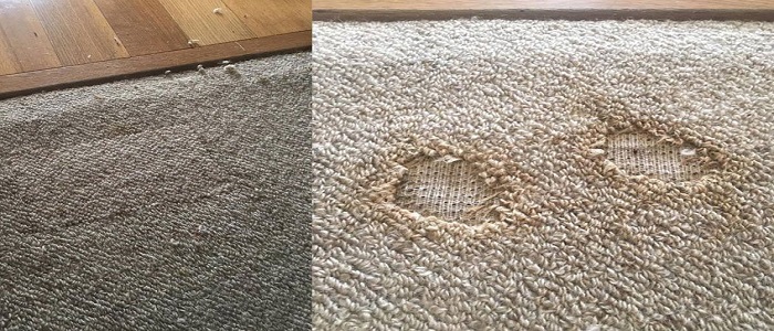 Carpet Hole Repair Mosman