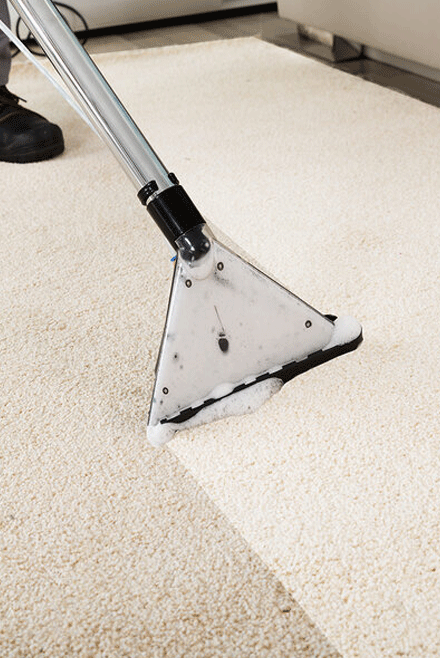 Trustworthy Carpet Cleaning